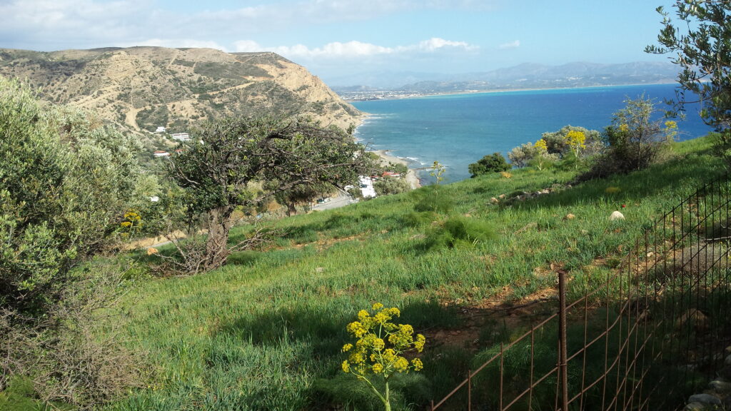 Galini-Breeze-hill-before-we-built-it