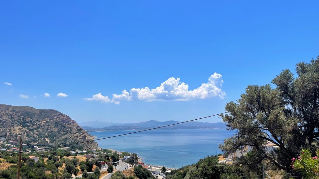 view